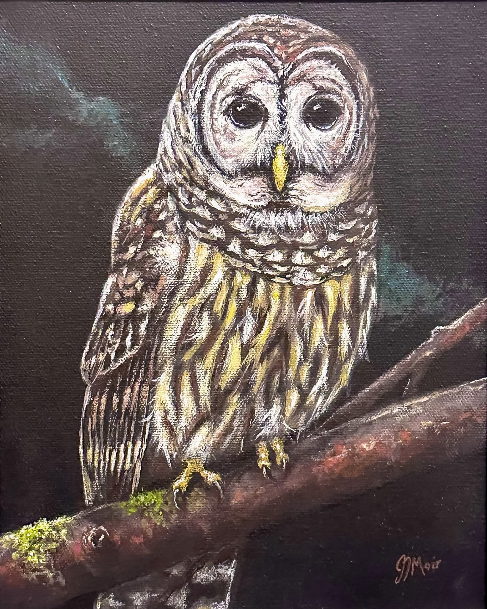 Owl 